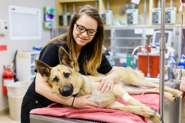 Nurse Lauren works with a patient in ICU