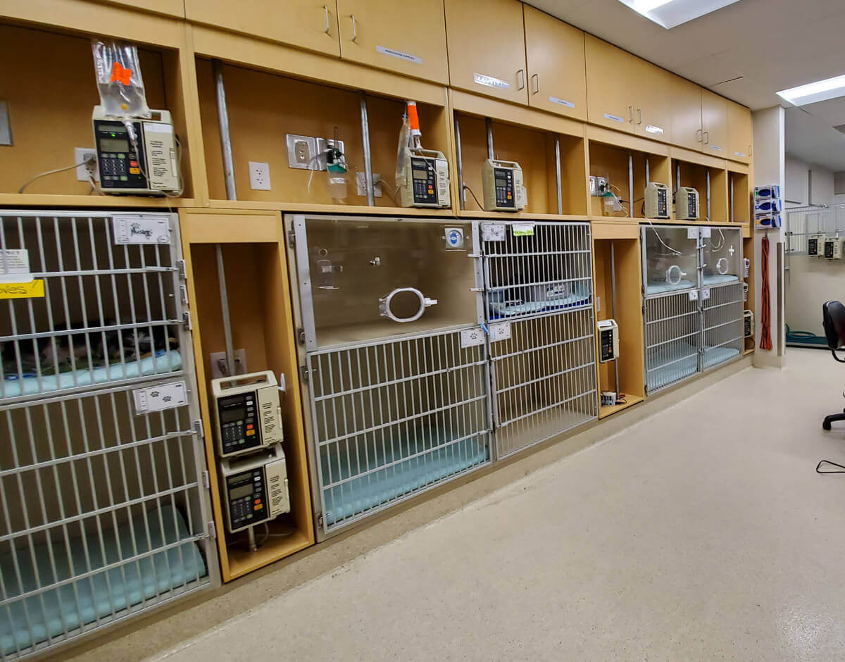SCVIM ICU We have several kennels equipped for oxygen in our SCVIM, which provides 24-hour critical care for pets