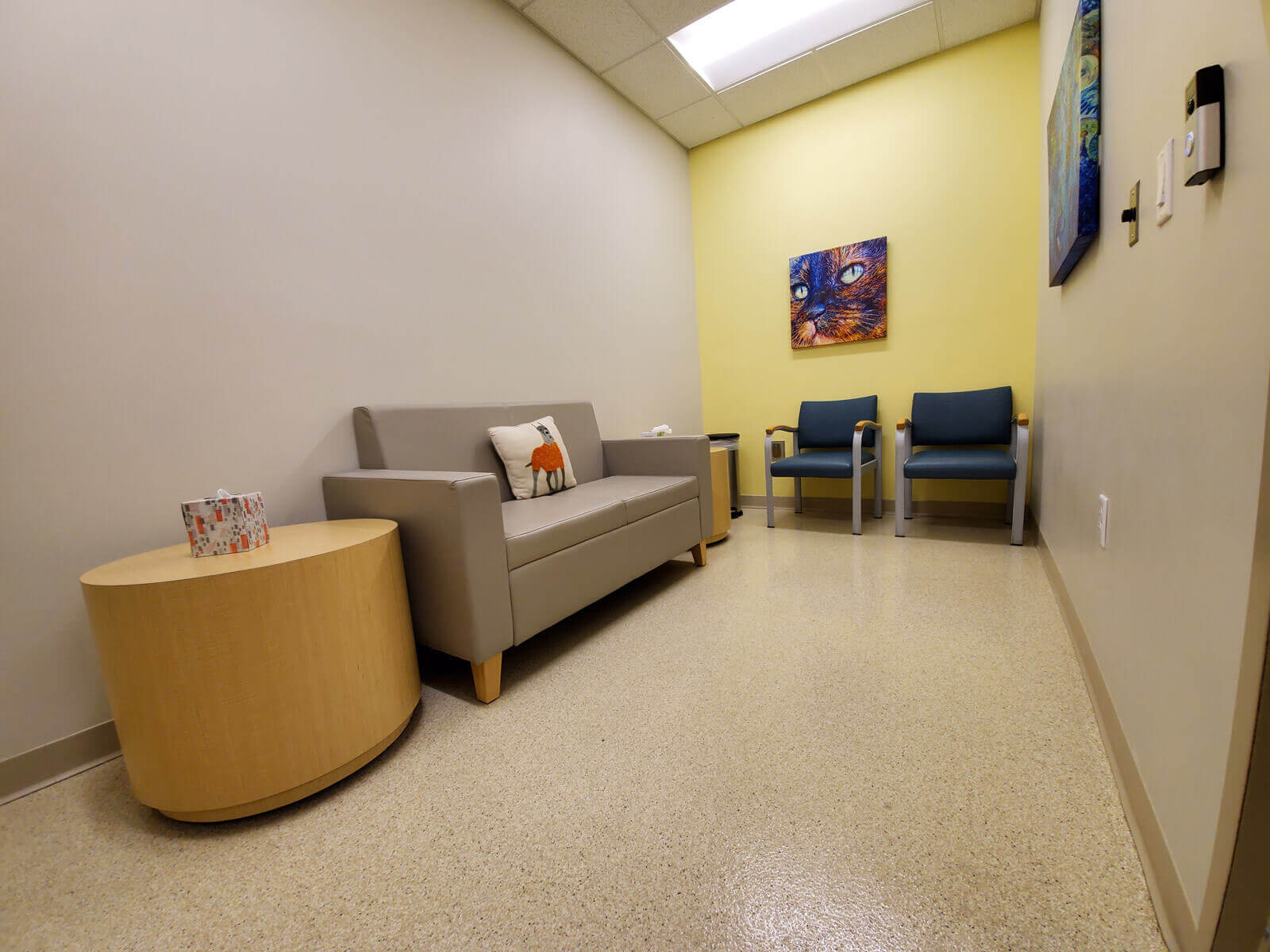 SCVIM Comfort Room Our SCVIM comfort room is "dressed like home" and providing place to provide both you and your pet some extra comfort and privacy