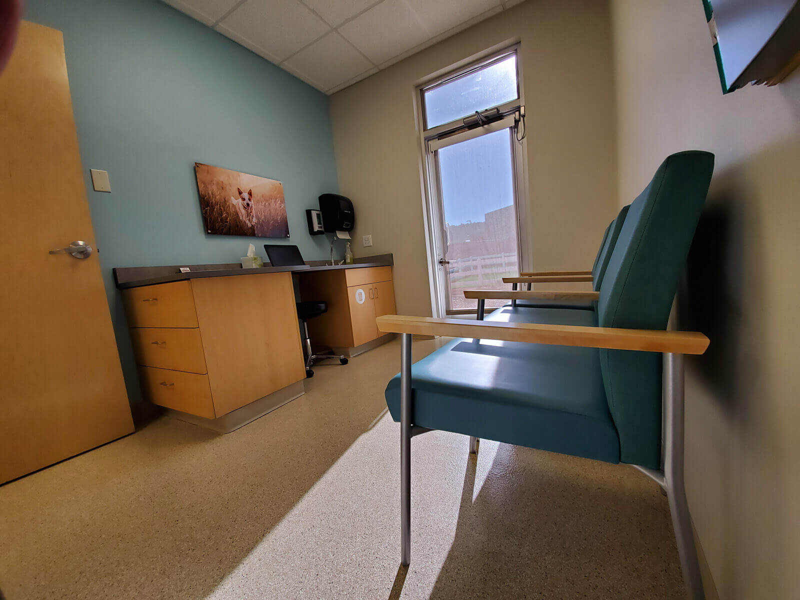 SCVIM Exam Room At SCVIM, we have two rooms with private entrances for your pet's convenience